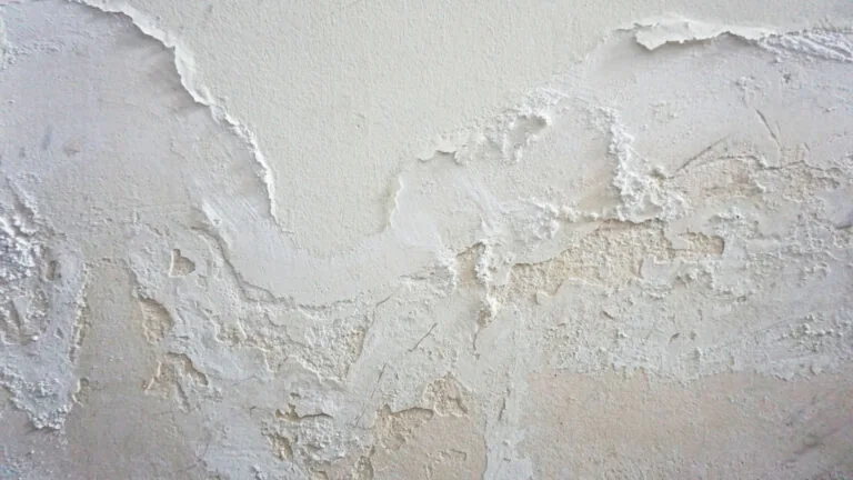 Weißer Schimmel an der Wand
